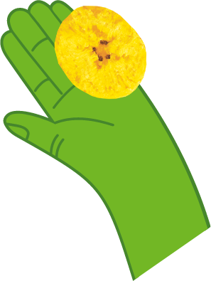 hands